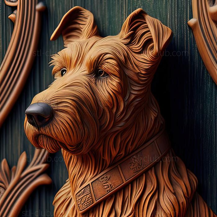 st Irish Terrier dog